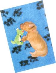 Die kleine donder dromend van h�tte kase (Ar�ny).