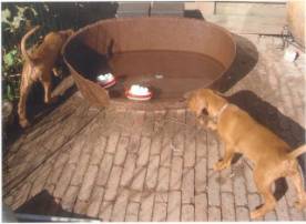 Waterwerk van Ar�ny.