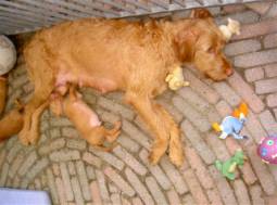 eerste buiten